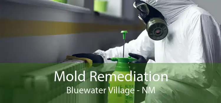 Mold Remediation Bluewater Village - NM