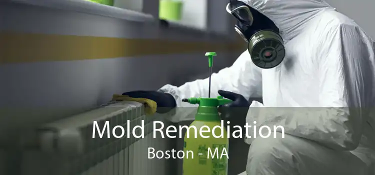 Mold Remediation Boston - MA