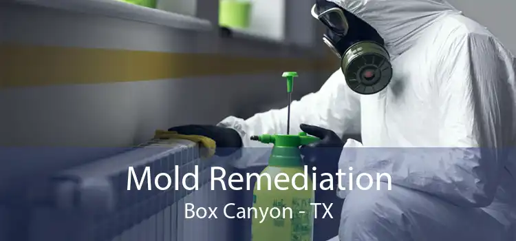 Mold Remediation Box Canyon - TX