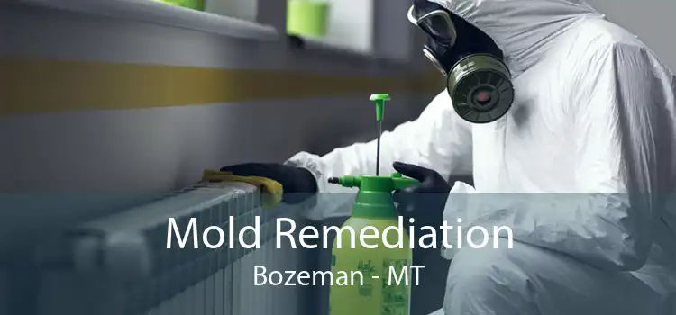 Mold Remediation Bozeman - MT