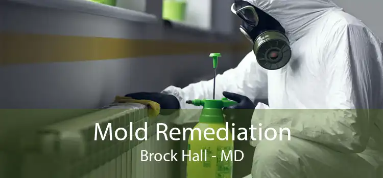 Mold Remediation Brock Hall - MD