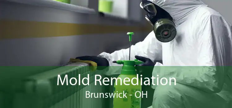 Mold Remediation Brunswick - OH