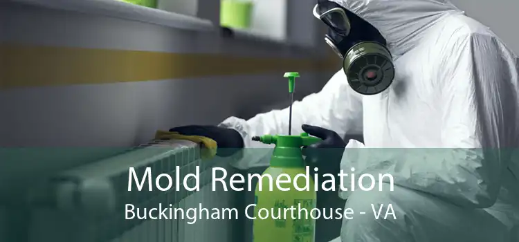 Mold Remediation Buckingham Courthouse - VA