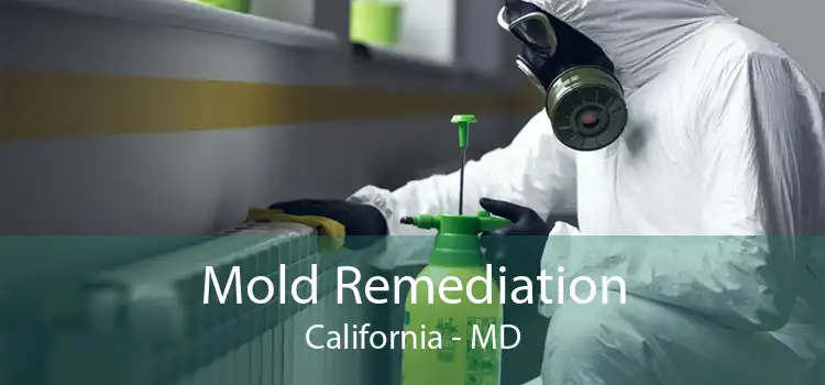 Mold Remediation California - MD