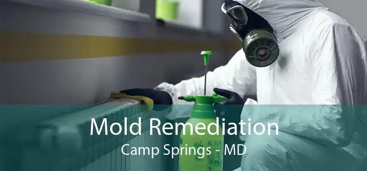 Mold Remediation Camp Springs - MD