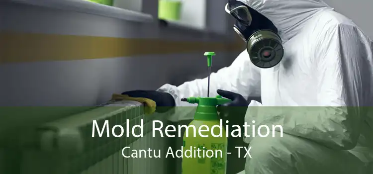 Mold Remediation Cantu Addition - TX