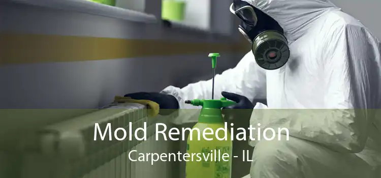 Mold Remediation Carpentersville - IL