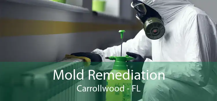 Mold Remediation Carrollwood - FL