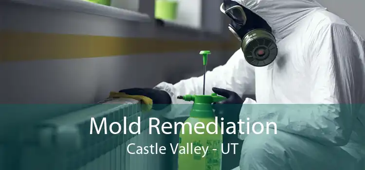 Mold Remediation Castle Valley - UT