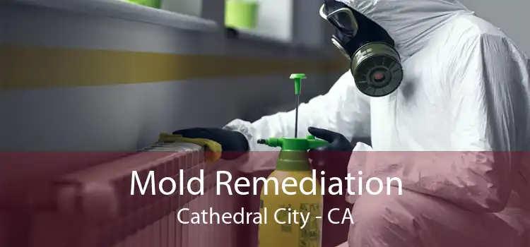 Mold Remediation Cathedral City - CA