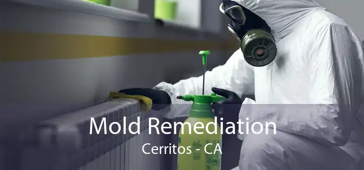 Mold Remediation Cerritos - CA