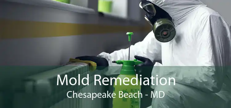 Mold Remediation Chesapeake Beach - MD