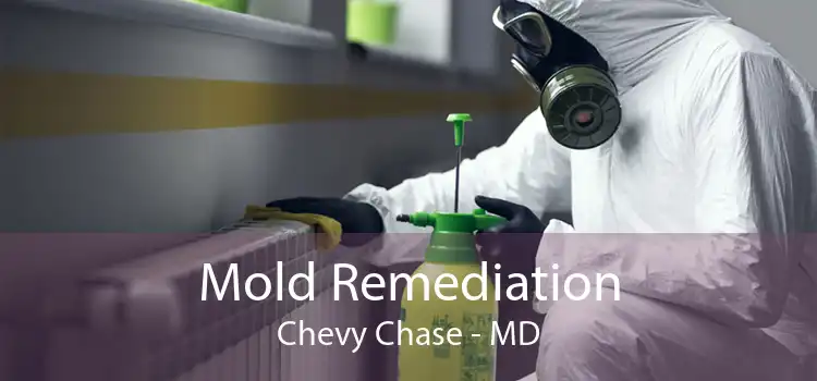 Mold Remediation Chevy Chase - MD