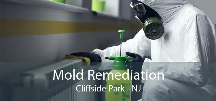 Mold Remediation Cliffside Park - NJ