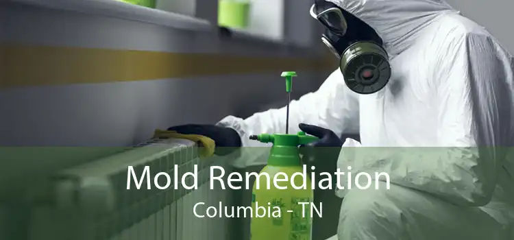 Mold Remediation Columbia - TN