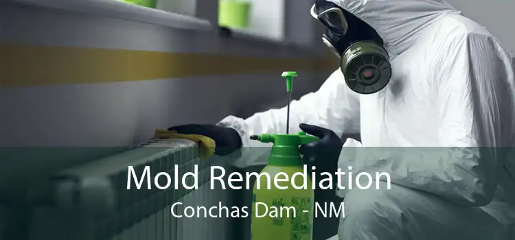 Mold Remediation Conchas Dam - NM