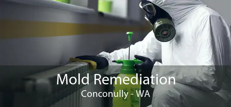 Mold Remediation Conconully - WA