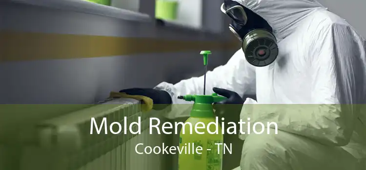 Mold Remediation Cookeville - TN