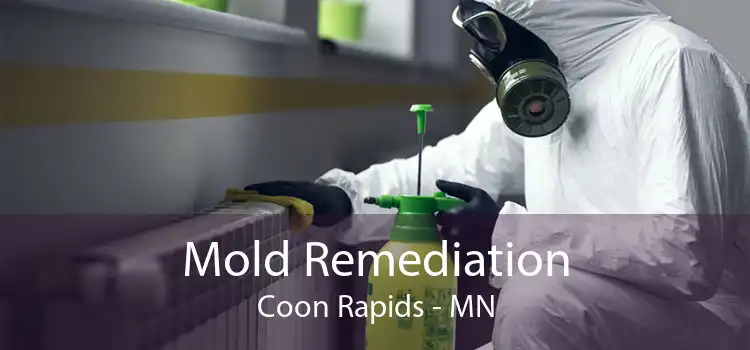 Mold Remediation Coon Rapids - MN