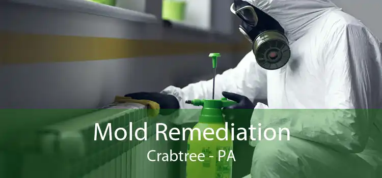 Mold Remediation Crabtree - PA