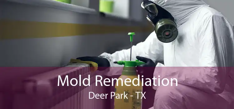 Mold Remediation Deer Park - TX