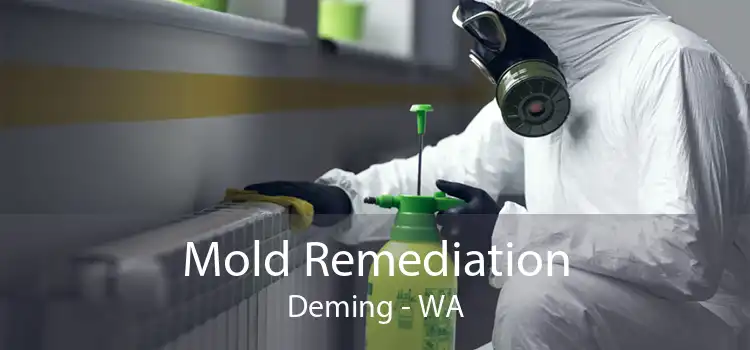 Mold Remediation Deming - WA