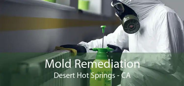 Mold Remediation Desert Hot Springs - CA