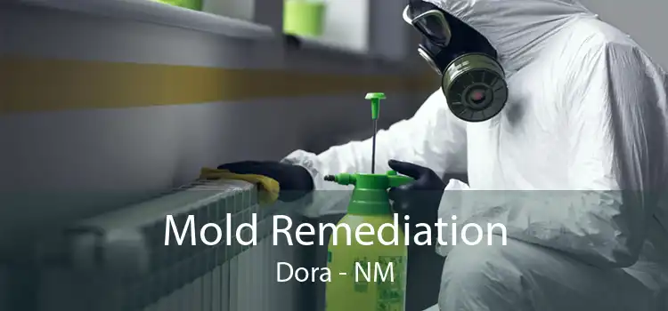 Mold Remediation Dora - NM