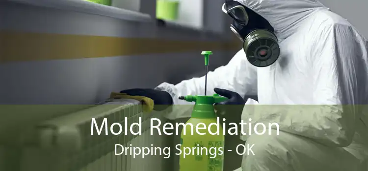 Mold Remediation Dripping Springs - OK