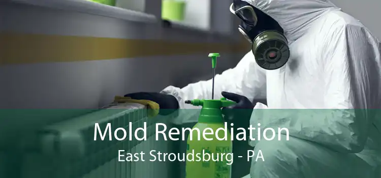 Mold Remediation East Stroudsburg - PA