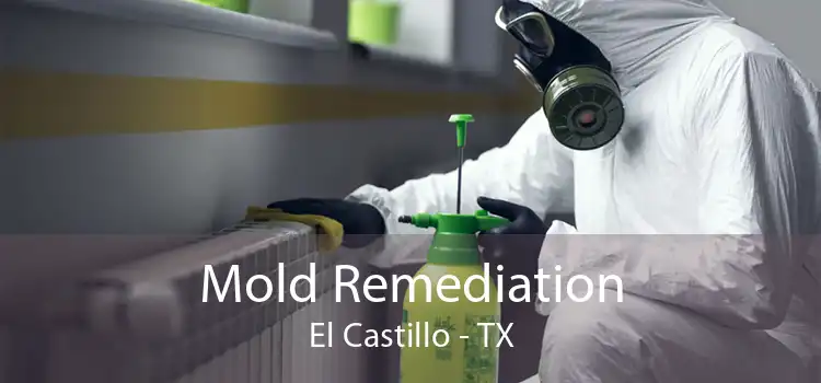 Mold Remediation El Castillo - TX