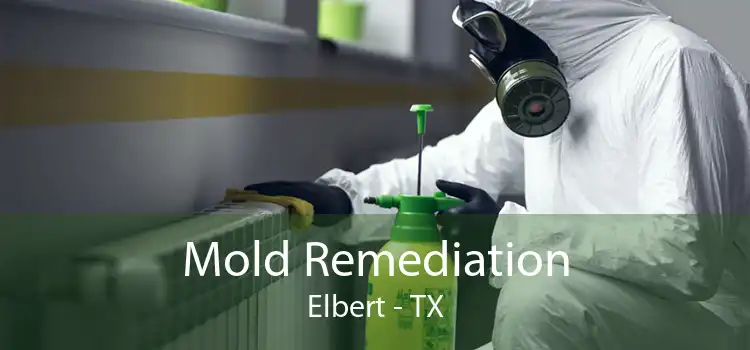 Mold Remediation Elbert - TX