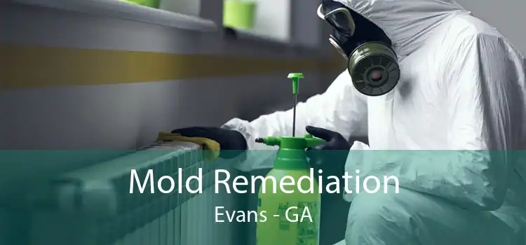 Mold Remediation Evans - GA