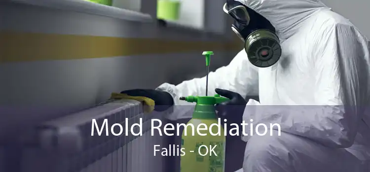 Mold Remediation Fallis - OK