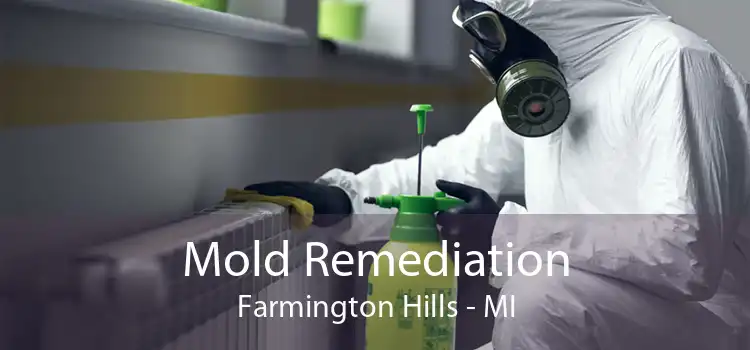 Mold Remediation Farmington Hills - MI