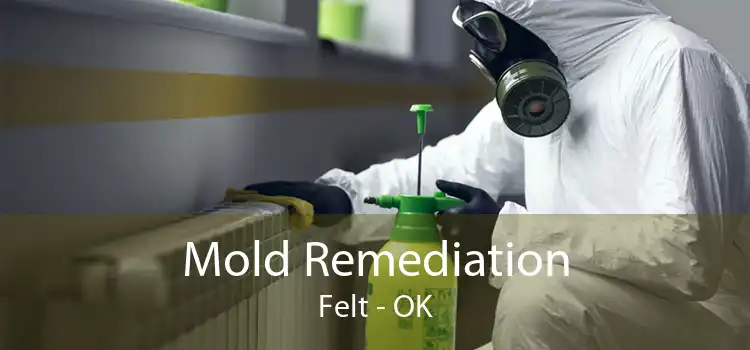 Mold Remediation Felt - OK