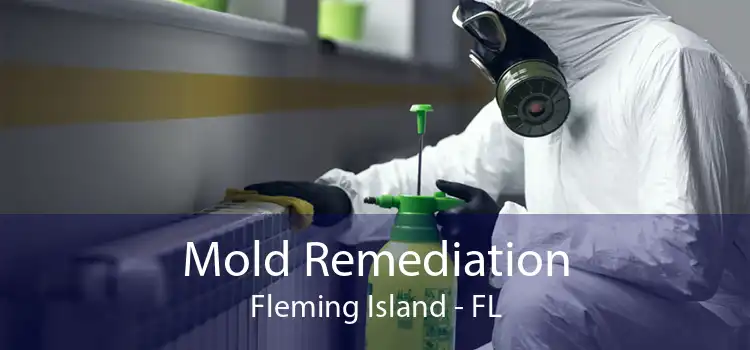 Mold Remediation Fleming Island - FL