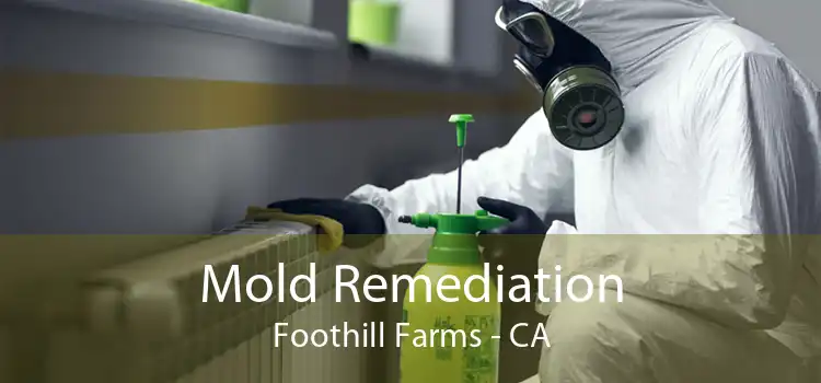 Mold Remediation Foothill Farms - CA