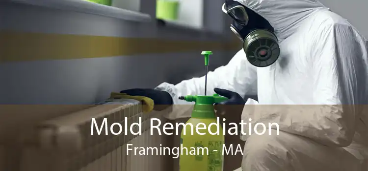 Mold Remediation Framingham - MA