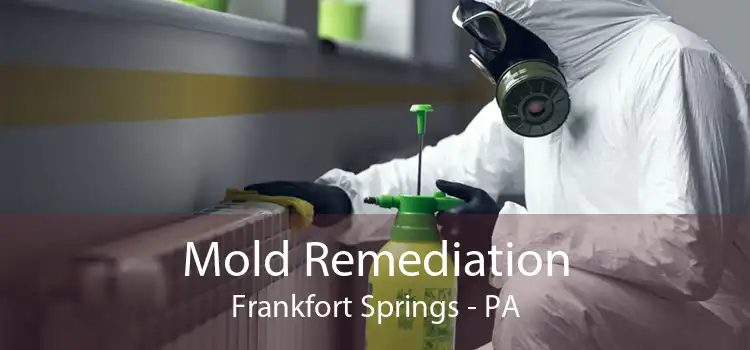 Mold Remediation Frankfort Springs - PA