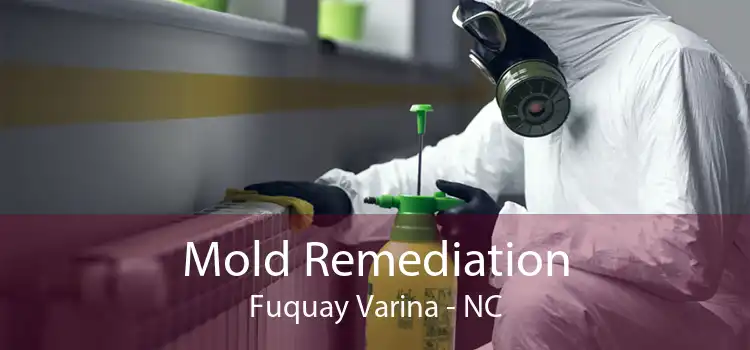 Mold Remediation Fuquay Varina - NC