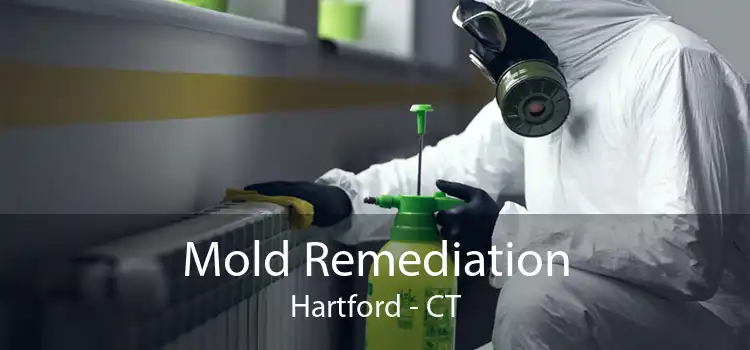 Mold Remediation Hartford - CT