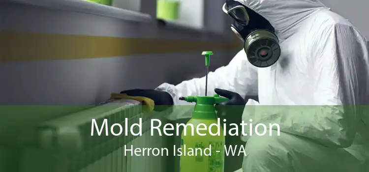 Mold Remediation Herron Island - WA