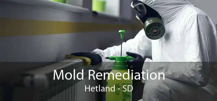 Mold Remediation Hetland - SD