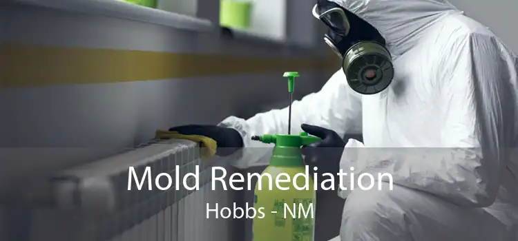 Mold Remediation Hobbs - NM