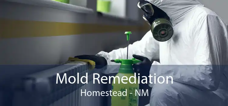 Mold Remediation Homestead - NM