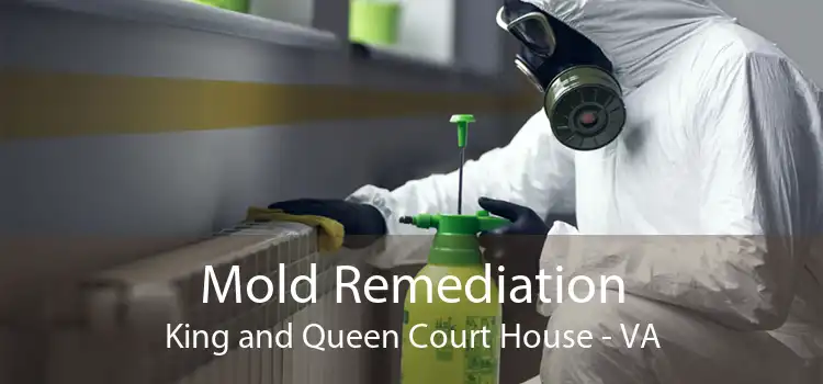 Mold Remediation King and Queen Court House - VA