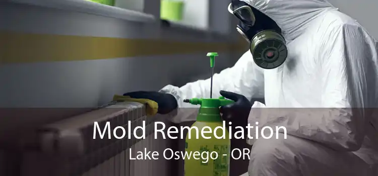 Mold Remediation Lake Oswego - OR