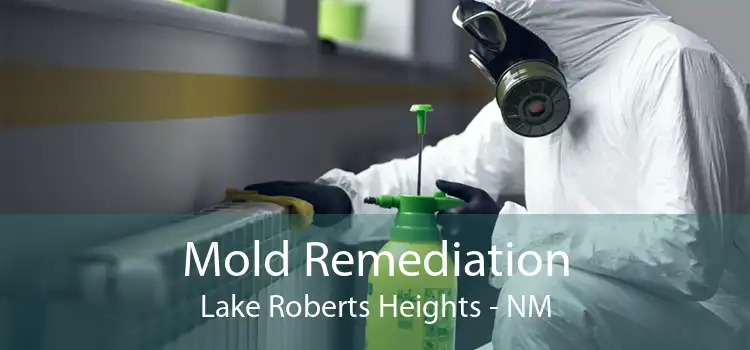 Mold Remediation Lake Roberts Heights - NM