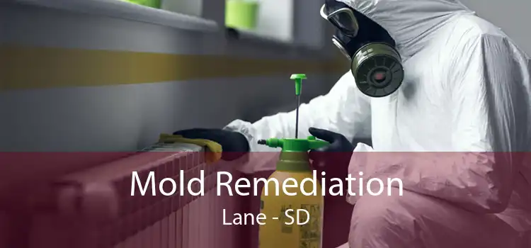 Mold Remediation Lane - SD